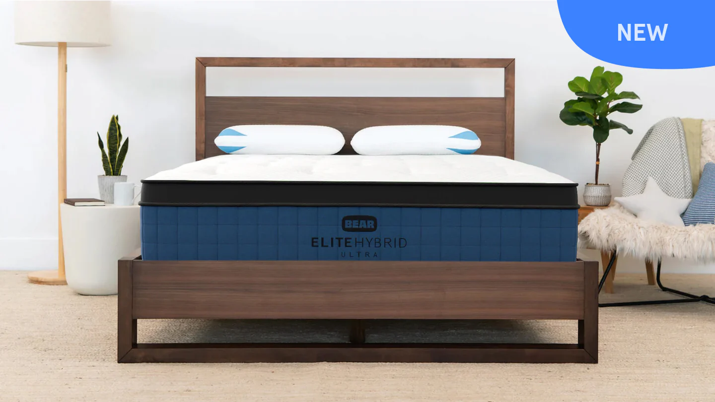 Bear Mattresses